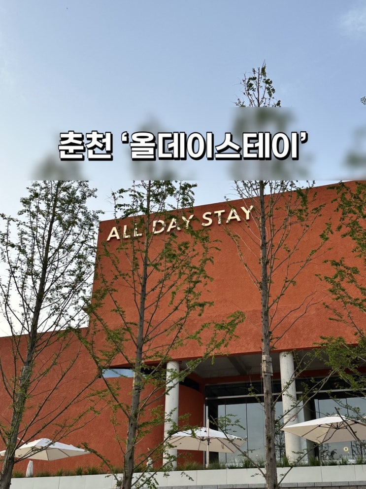  춘천 브런치 카페 맥주 전시까지. 문화복합공간 ‘올데이스테이’
