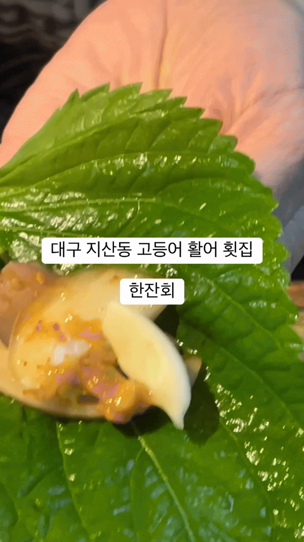  대구 지산동 맛집 한잔회 신선한 고등어회 후기