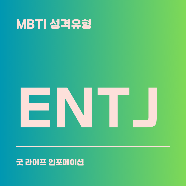 ENTJ : 대담하고 야심찬 지휘자(성과형) ENTJ : 대담하고 야심찬 지휘자(성과형)