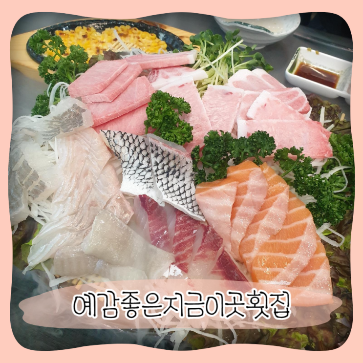  성남 위례 회 맛집 ㅣ 예감좋은지금이곳횟집 퀄리티와 가성비 다 누리고 왔어요