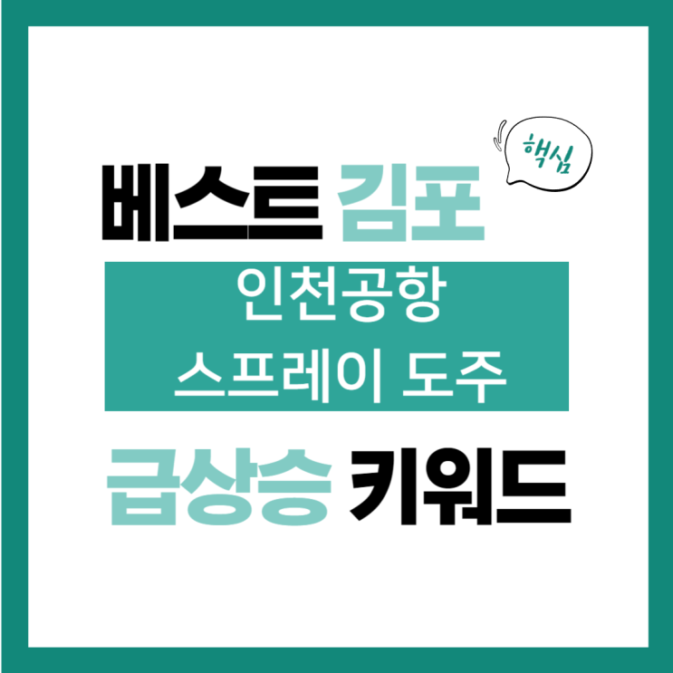 키워드, <b>인천공항서</b>... 뿌리고 1억 원 든 돈가방 훔친 <b>중국인</b>