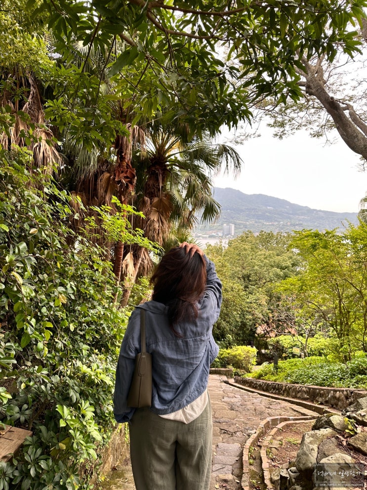  단수이여행 홍마오청, 소백궁 구경 후 朝日夫妇 파르페 단수이옛시장 새우깡 - 덕배네 대만 여행기#3