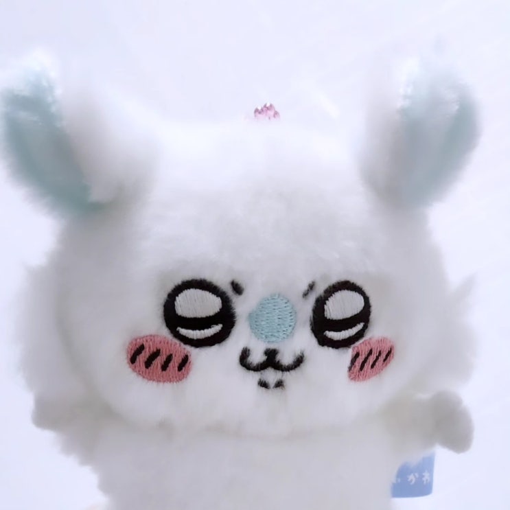 [내돈내산] 날아오르는 모몽가 리뷰