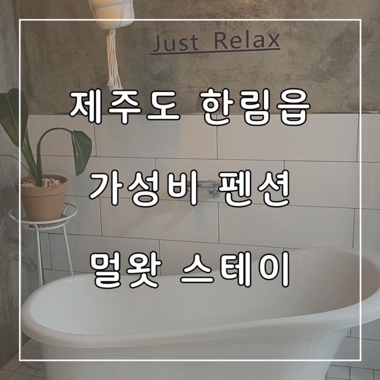  제주도 한림읍 가성비 펜션 숙소 추천 멀왓스테이 한라산뷰 멀3호 후기