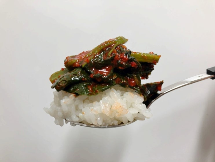  여수돌산갓김치 돌산수연 갓김치맛집 전라도김치 택배 추천