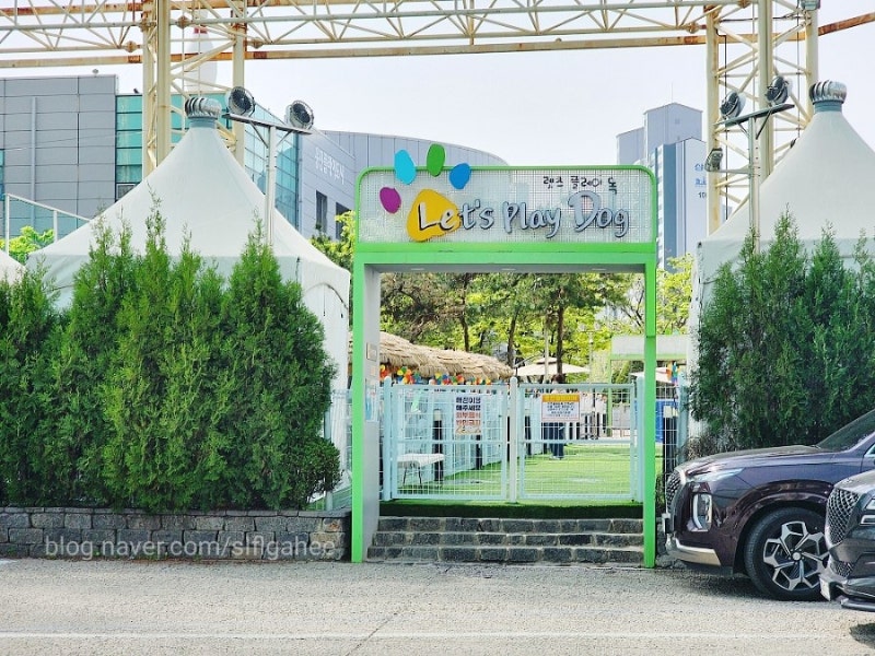 사진 4