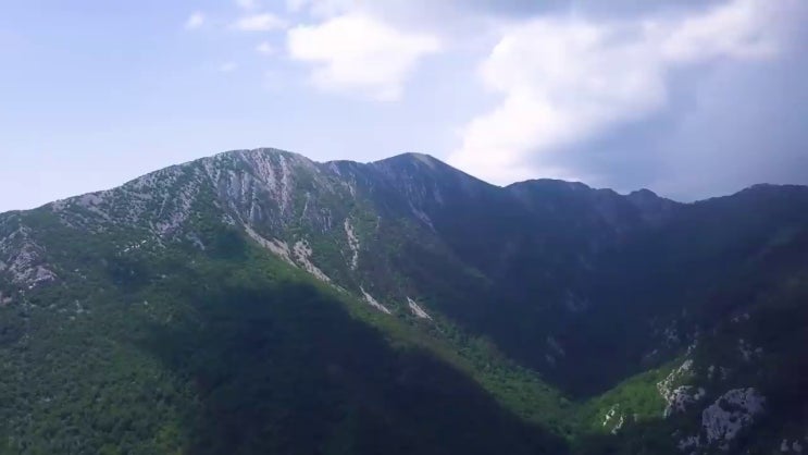  화훼장식산업기사과정평가형 화훼장식산업기사 시험자격 집에서 온라인으로 쉽고 빠르게 준비했던 노하우