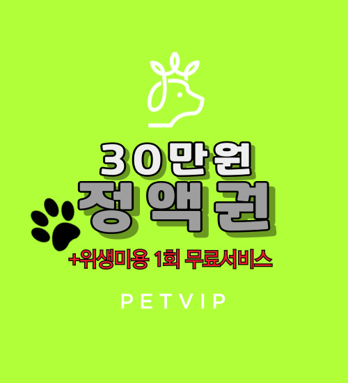  [펫VIP]애견출장미용,강아지방문미용,산책대행 등 서비스 이용 가능한 정액권&위생미용(ONLY)서비스 출시
