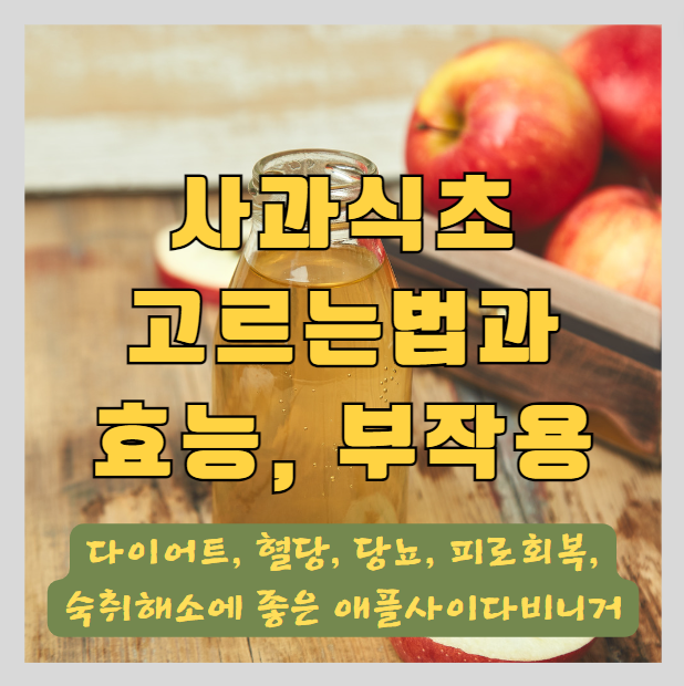  사과식초 고르는법과 가짜식초와 천연발효식초 구분하는 법 - 애플사이다비니거 비네거 초모, 애사비의 효능과 효과 (다이어트, 당뇨, 피로회복, 숙취해소등)