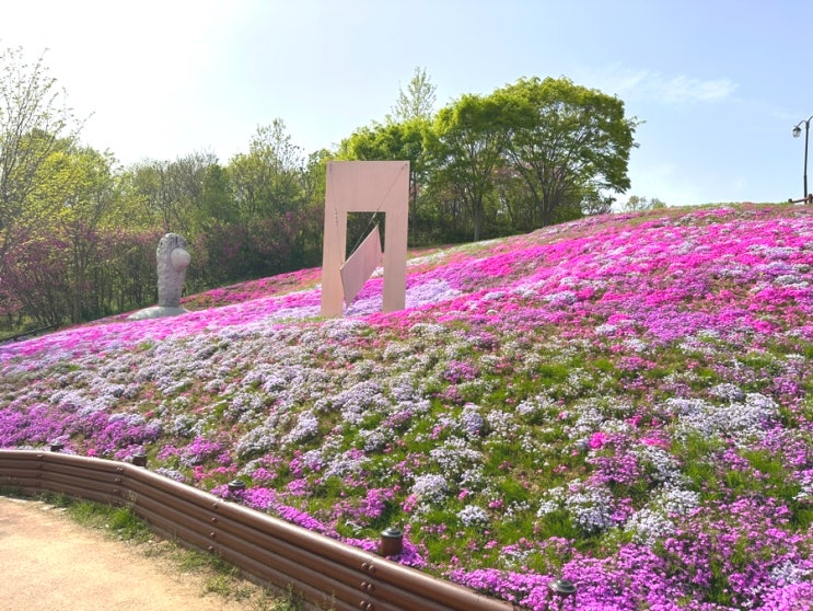  산청 갈만한곳 산청생초국제조각공원 국내최대규모 꽃잔디 축제