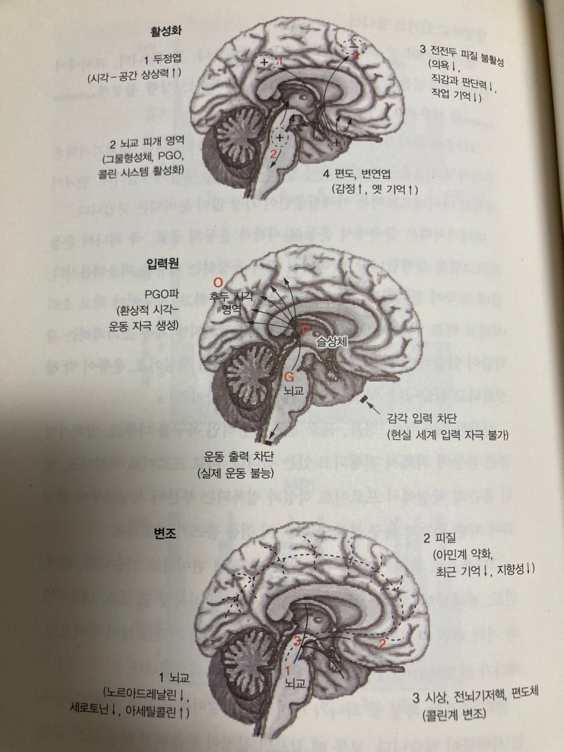 조금만 걸어도 다리아플때 | TikTok, image size:800x1067