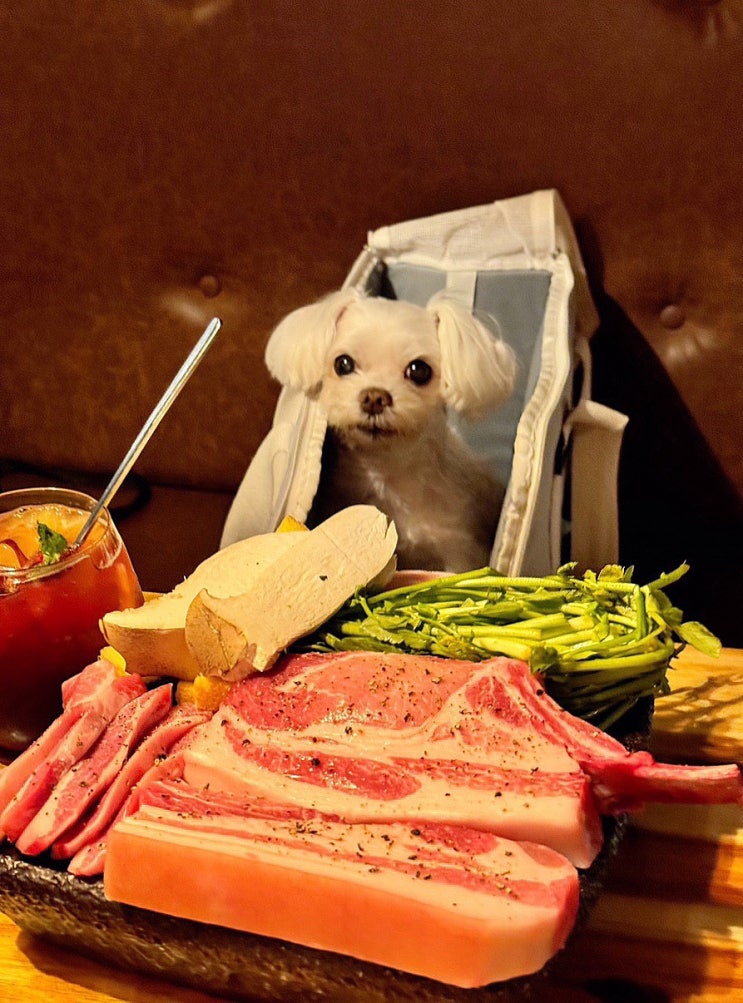  서울 애견동반식당 고기집 신수로 구워주는 고기 콜키지 가능