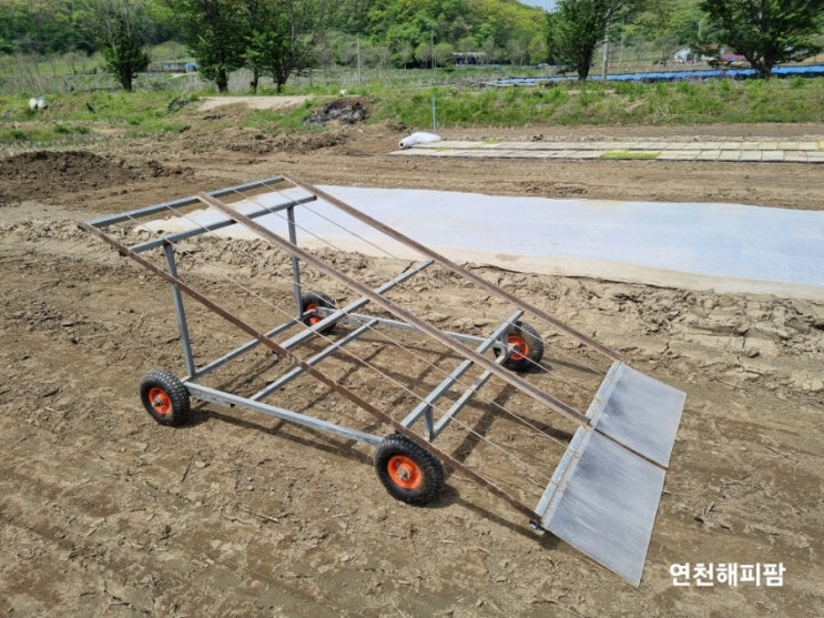  논농사 못자리 모판피기 치상작업 모판정렬기 벼농사