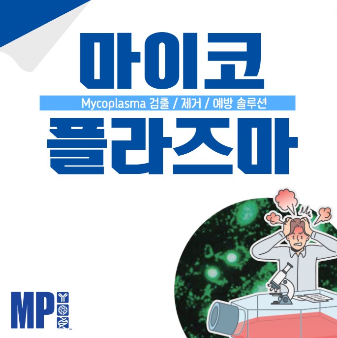 마이코플라즈마 토탈 솔루션 : Mycoplasma Detection / Elimination / Prevention