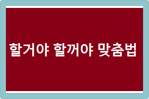  할거야 할꺼야 맞춤법