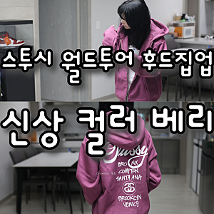 스투시 월드투어 후드집업 베리2024 컬러미쳤다 사이즈실측 착샷후기