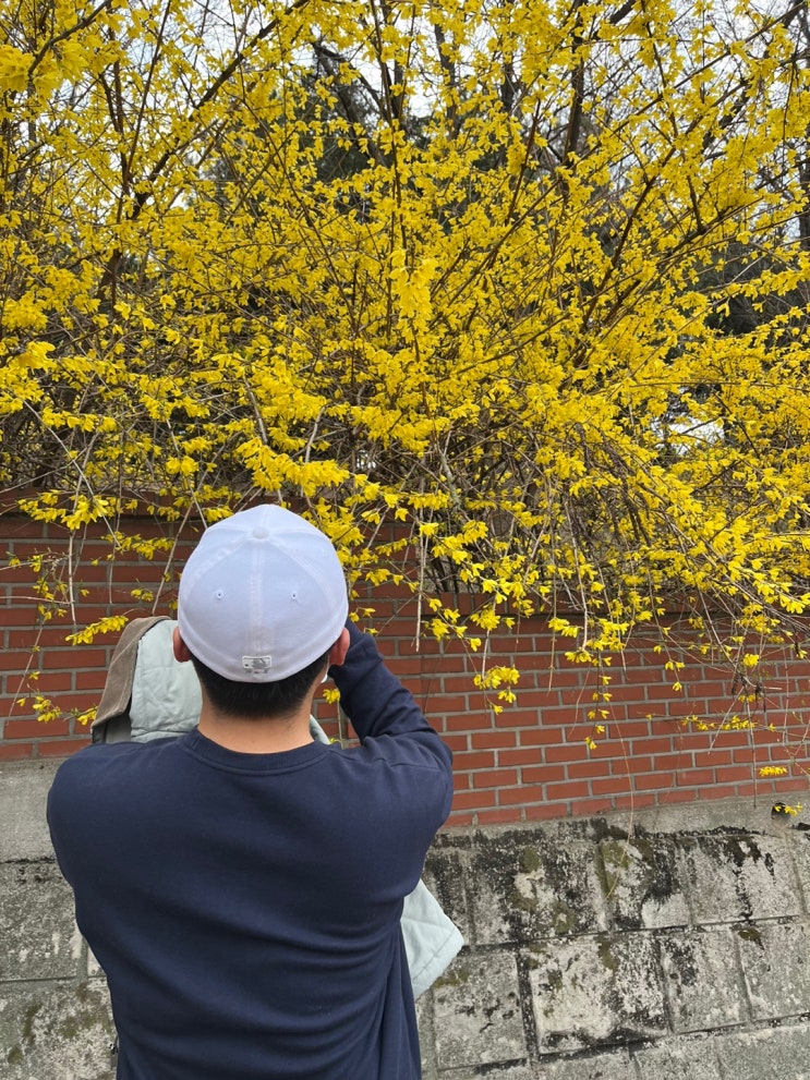  아동요리지도사 자격증 앞으로의 계획