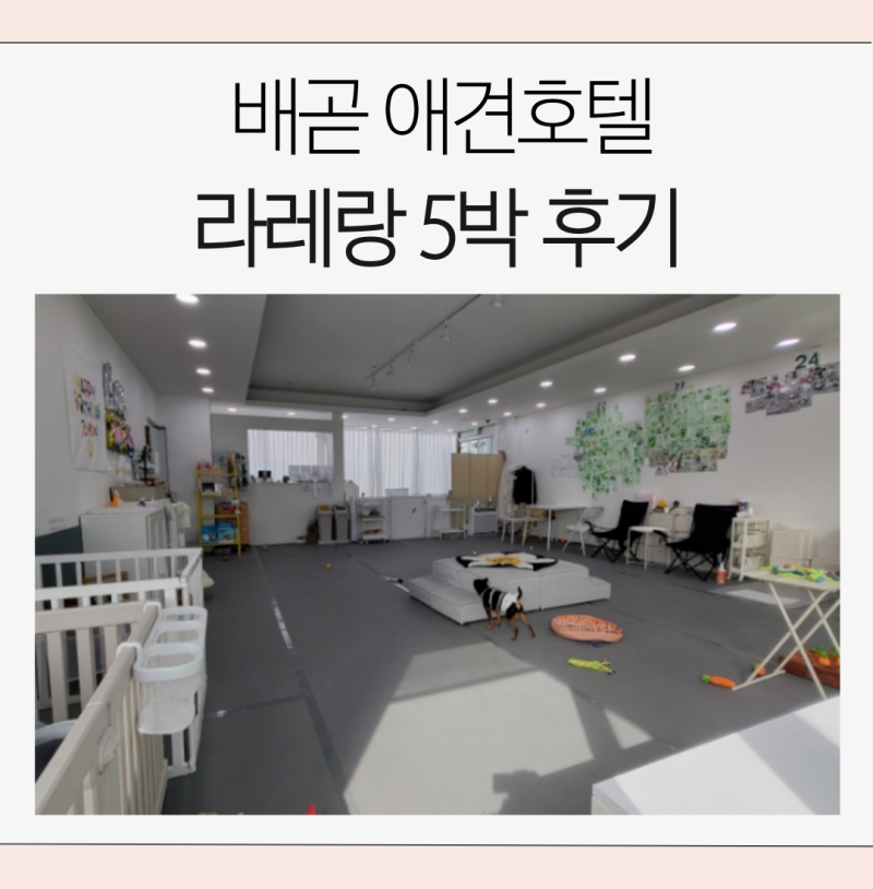 사진 7