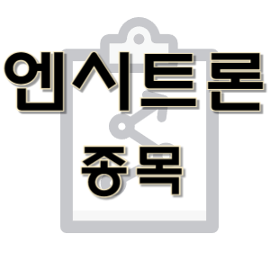  엔시트론 - 비메모리 반도체 종목 주가 차트 정리