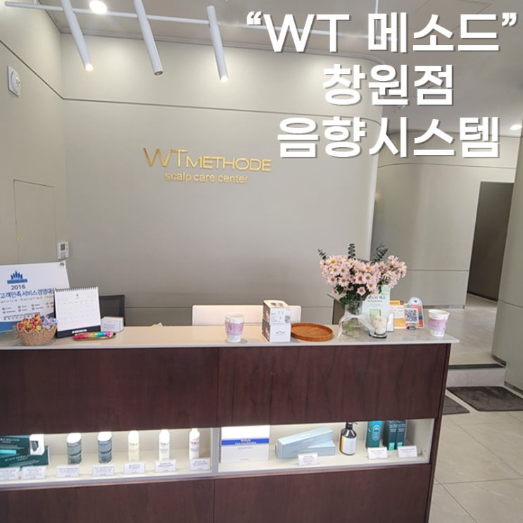  창원점 음향시스템설치 - 두피/탈모 전문관리 "WT메소드"