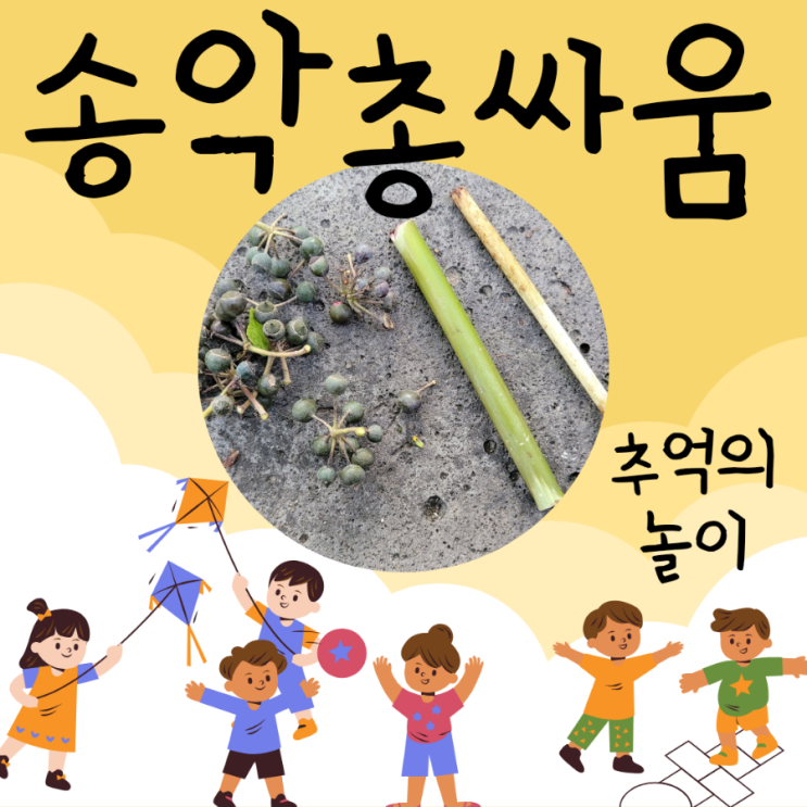  돌담 위 송악, 송악열매와 대나무로 만들어 놀던 제주 추억의 놀이 송악총