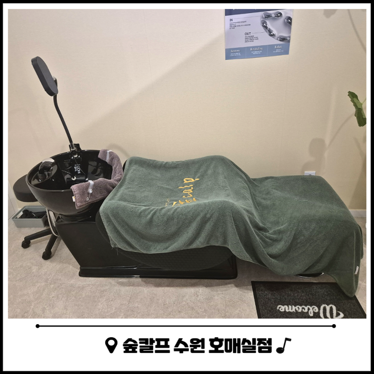 수원 두피관리 헤드스파는 숲칼프 호매실점 추천 수원 두피관리 헤드스파는 숲칼프 호매실점 추천