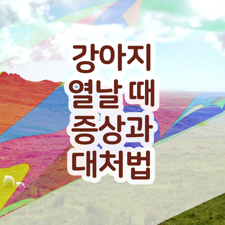  반려동물관리사자격증따기 , 반려동물관리사 자격증 한달 만에 취득했던 후기 , 경력 활용 방안