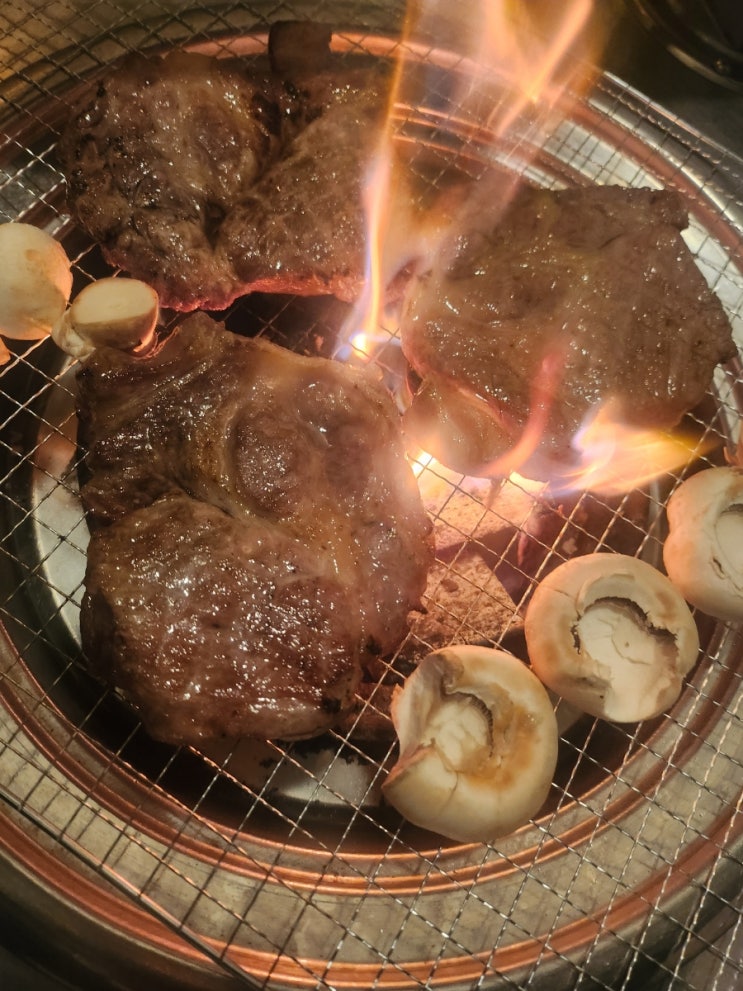  가평 가성비 펜션 수피아 펜션 카라반 바베큐 1박 여행