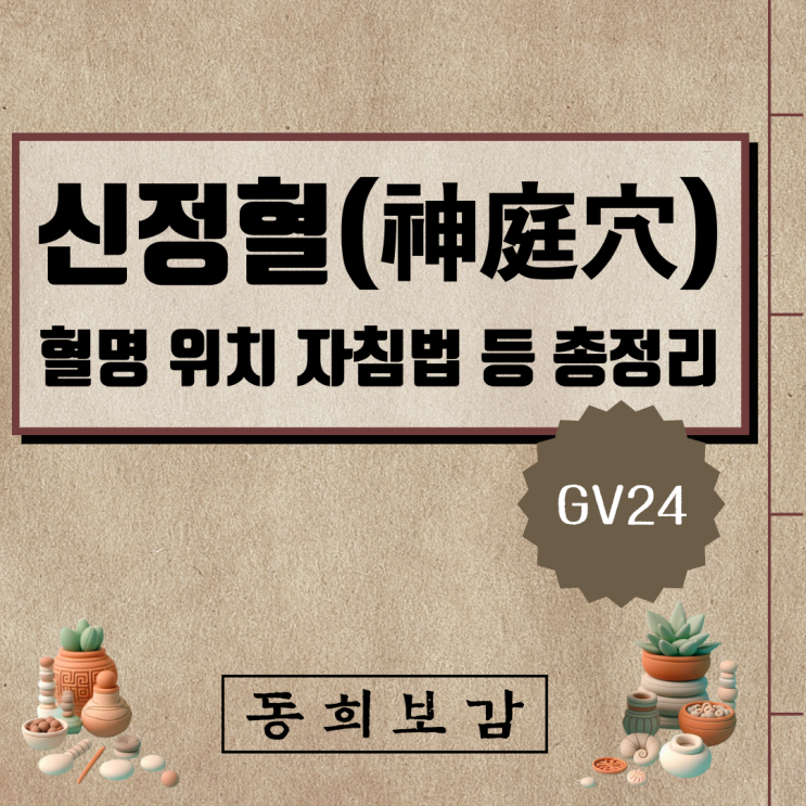  신정혈(神庭穴) GV24, 소속경맥 혈명 위치 특성 자침법 등 총정리