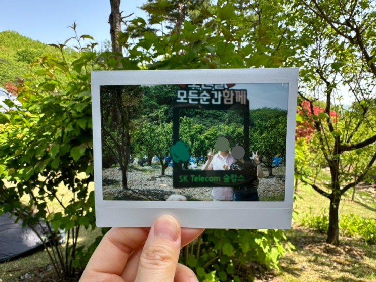  SKT 숲캉스 special T 포레스트 캠프 다녀온 후기