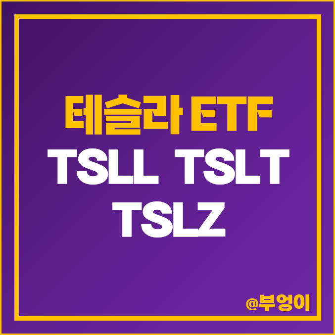 테슬라 주식 미국 레버리지 인버스 ETF TSLL TSLT TSLZ 주가 테슬라 주식 미국 레버리지 인버스 ETF TSLL TSLT TSLZ 주가