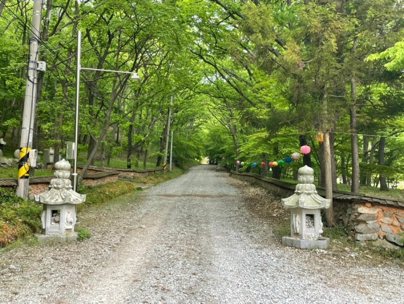 사진 3