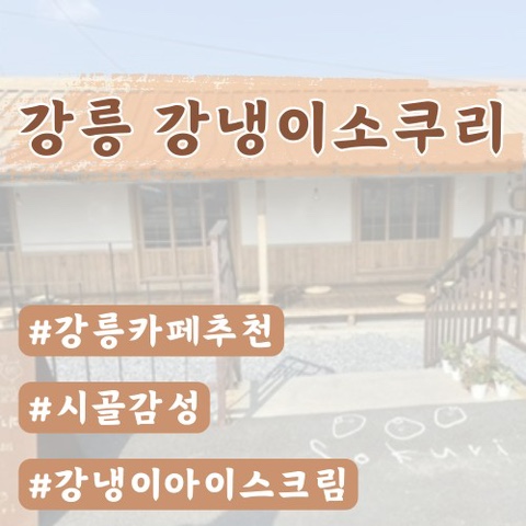  [강릉카페]강냉이소쿠리