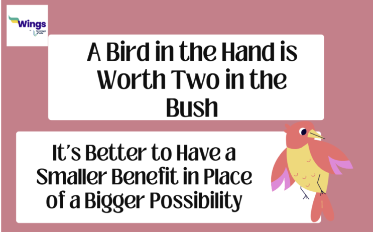  [영어] A bird in the hand is worth two in the bush를 아시나요?