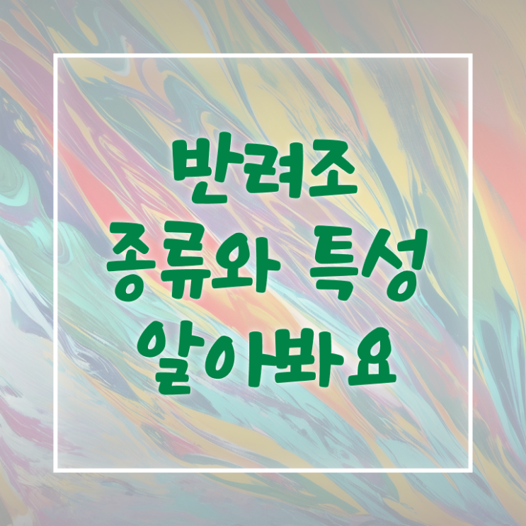  뉴기니아 앵무새 , 반려조관리사 자격증 취득과정 최신정보 공유