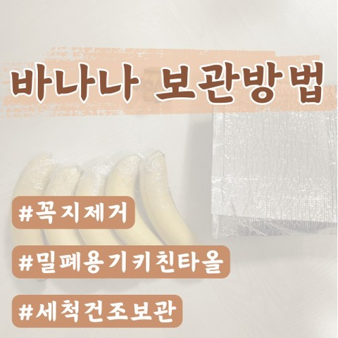  바나나 보관방법(실온,냉동,냉장, 벌레 없이 보관방법, 바나나 고르는법 등)