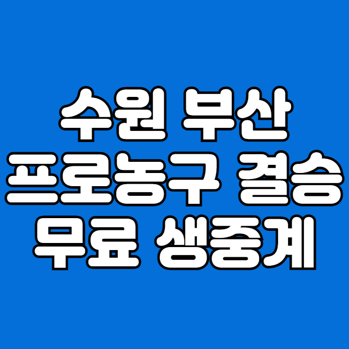 방송 <b>프로농구</b> 결승전... 생중계 <b>최종전</b> 전력분석 KBL... 