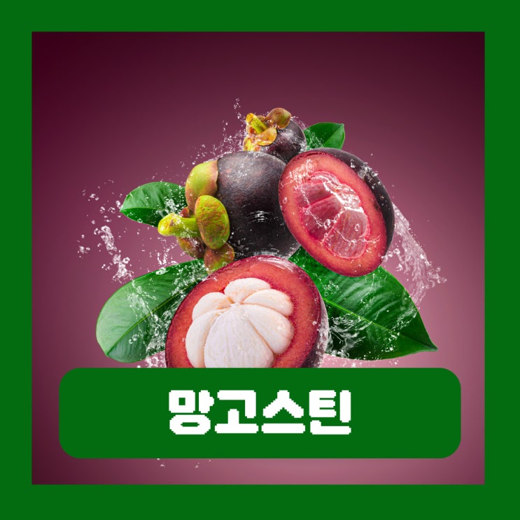 망고스틴 효능 부작용 까는법 크리스탈 루버 먹는법