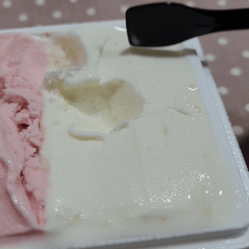 전주에코시티맛집 [오셔젤라또] 수제 젤라또 맛집 추천~ 세병호 나들이 간식 추천!
