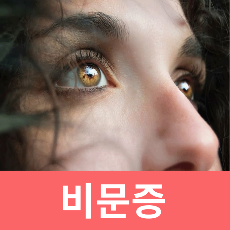  비문증 없애는 법 파인애플 눈에 벌레 날파리 원인 증상