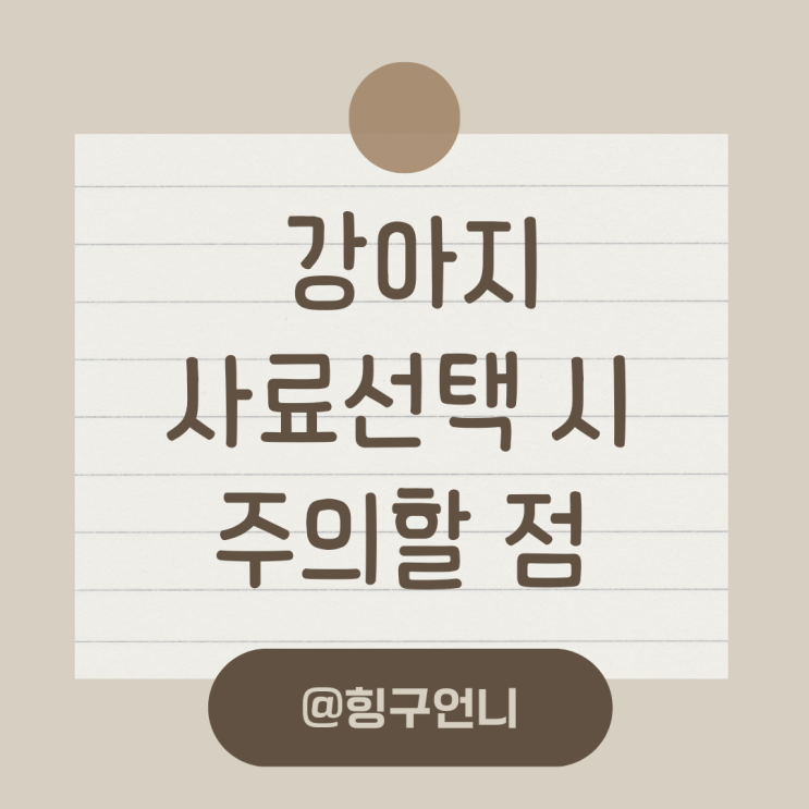  강아지 사료 선택 시 주의할 점?