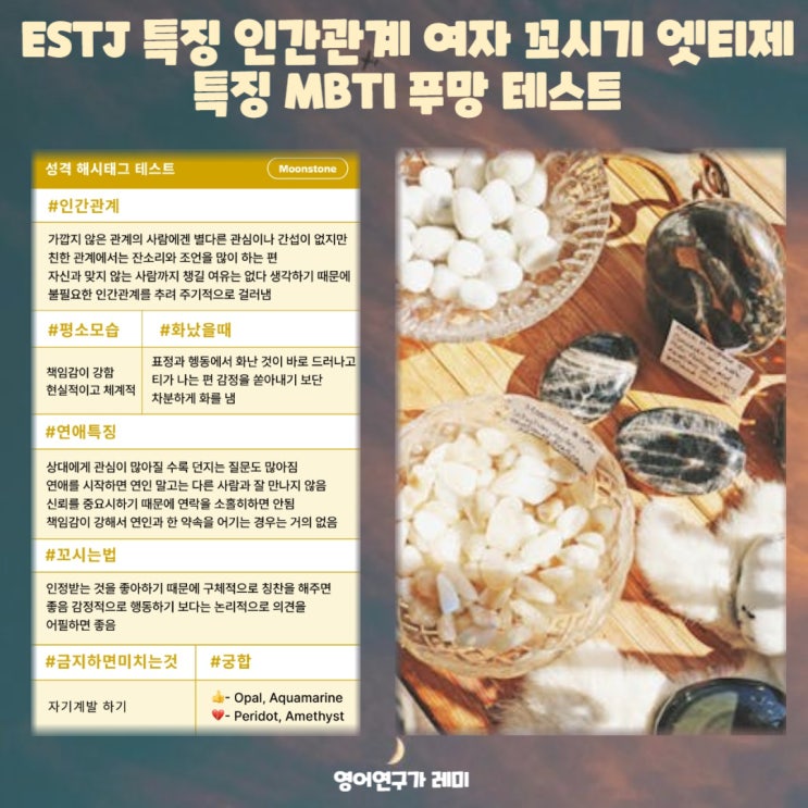 ESTJ 특징 인간관계 여자 꼬시기 엣티제 특징 MBTI 푸망 테스트