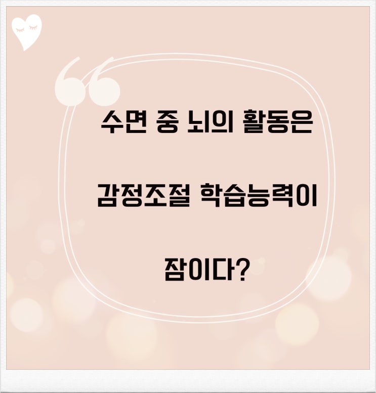  수면 중 뇌의 활동은 감정조절 학습능력이 잠이다?