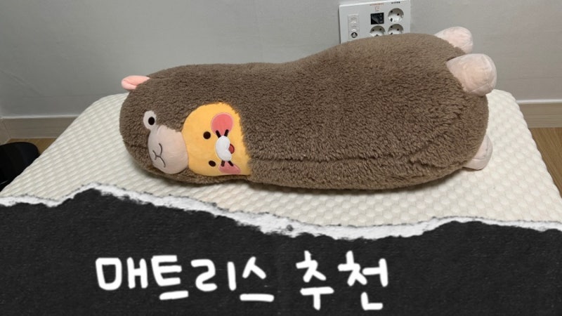 수면 맛집 스너그홈 라택스 매트리스 후기