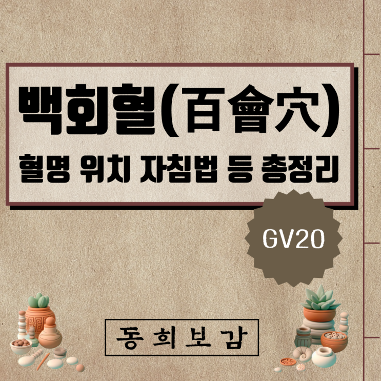  백회혈(百會穴) GV20, 소속경맥 혈명 위치 특성 자침법 등 총정리