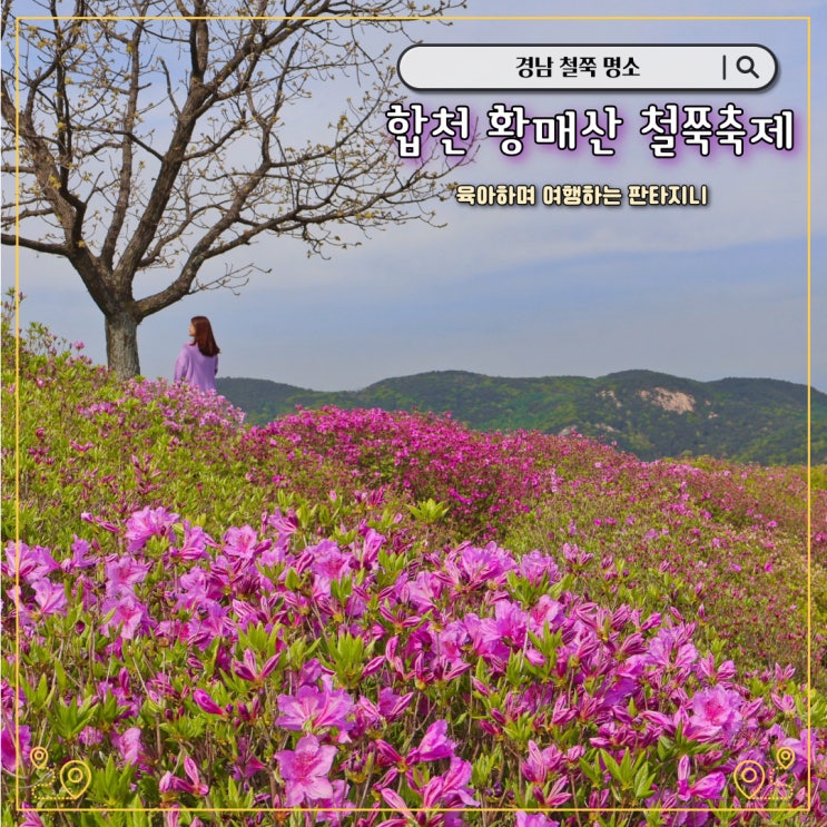  2024 합천 황매산 철쭉축제(개화시기 및 상황, 실시간cctv정보)
