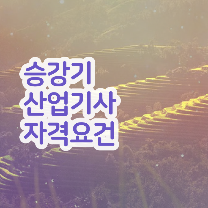  승강기산업기사난이도 승강기산업기사 시험자격 독학으로 15주만에 끝낸 과정