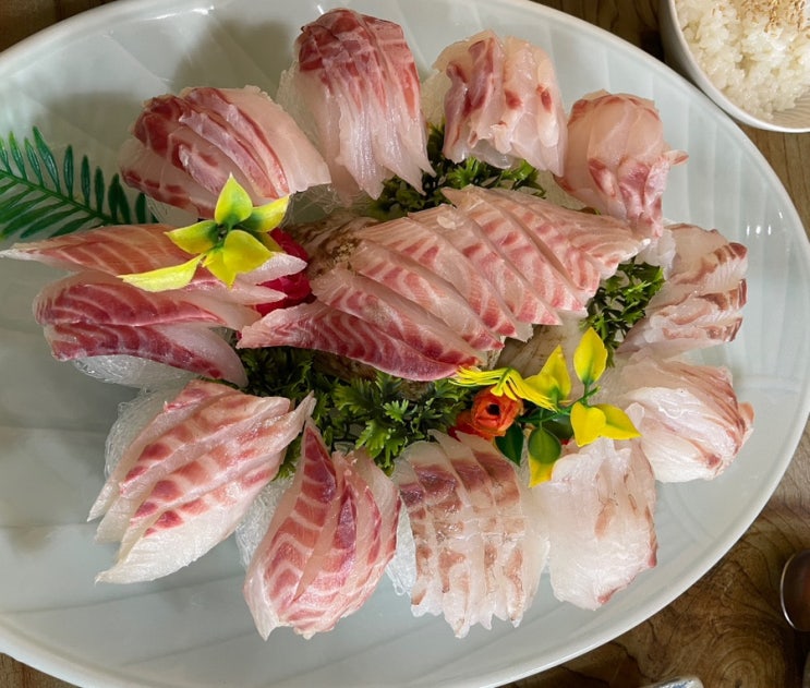  [제주 표선 맛집] 당포회센터(위치, 가격, 후기)