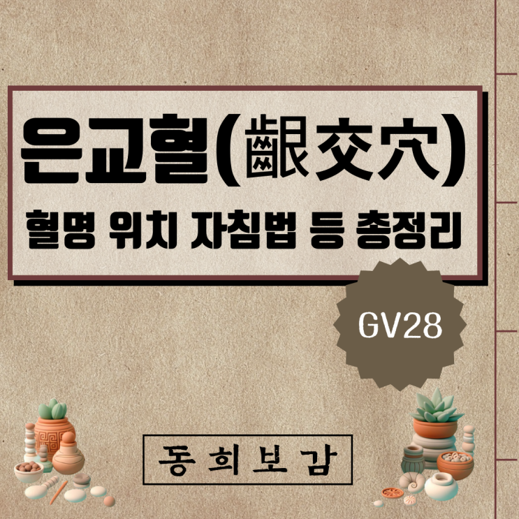  은교혈(齦交穴) GV28, 소속경맥 혈명 위치 특성 자침법 등 총정리