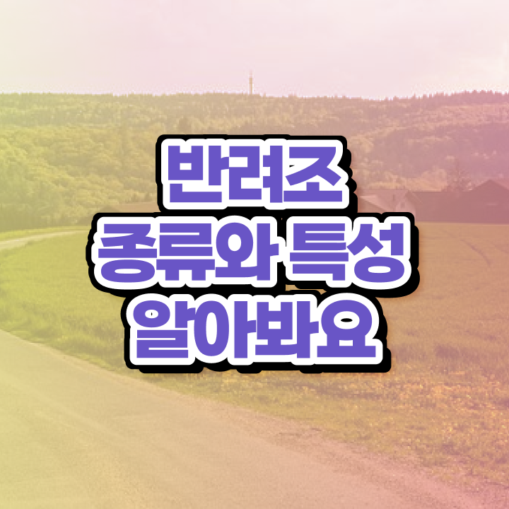  앵무새 지능 , 반려조관리사 자격증 15일 만에 취득 정보 및 경력 활용 방안